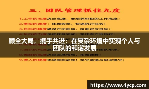 顾全大局，携手共进：在复杂环境中实现个人与团队的和谐发展